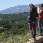 Experiential Overview