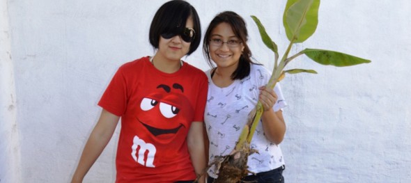 The wheelbarrow is behaving itself for the time being as Pica and Neeva relocate pups from the misi luki banana. Photo by Michael Imwalle.