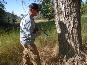 Climate science researcher from University of Minnesota