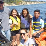 rov2 group2